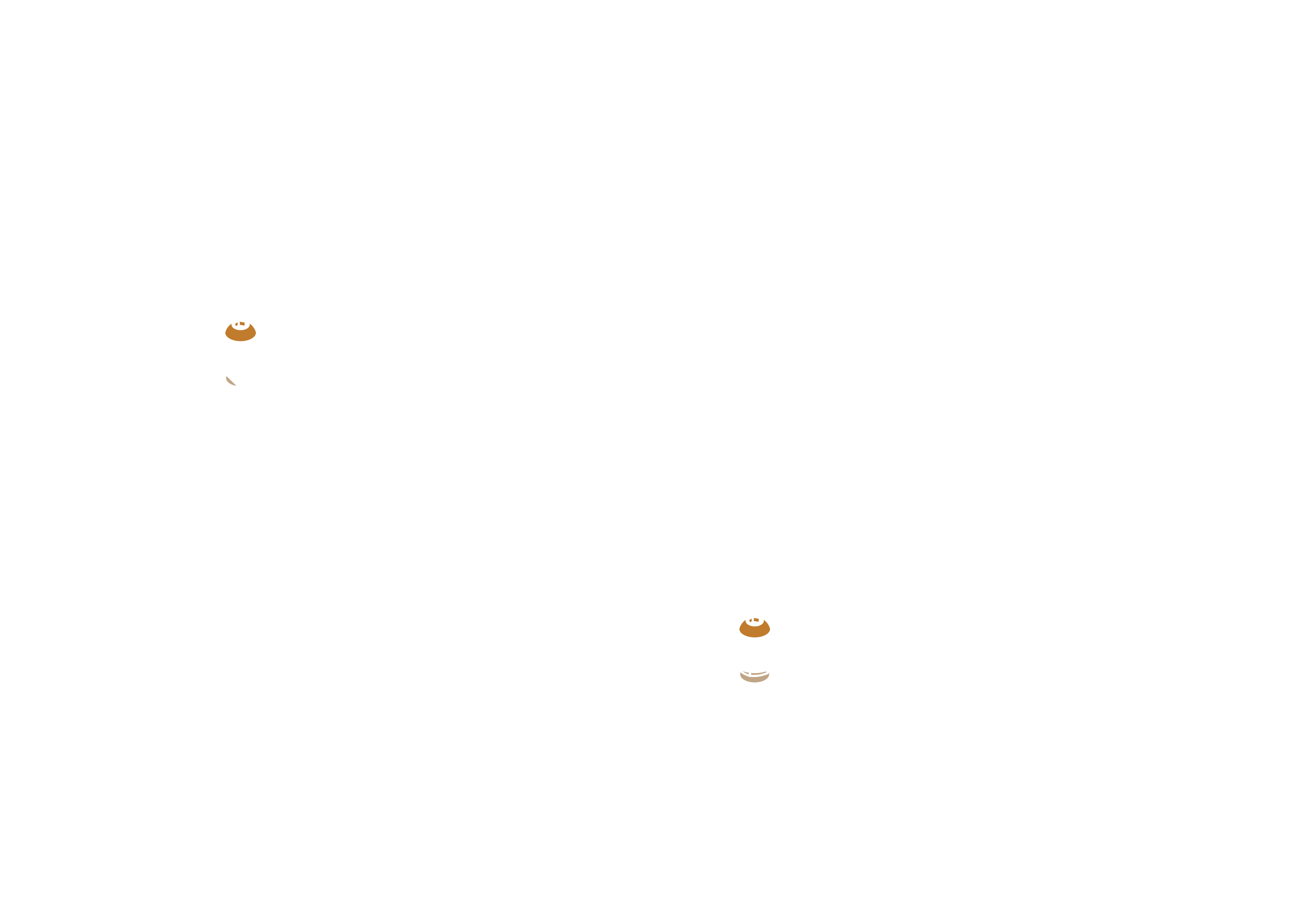 Differential beam assembled